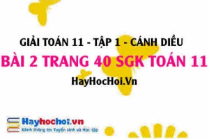Giải bài 2 trang 40 Toán 11 tập 1 SGK Cánh Diều